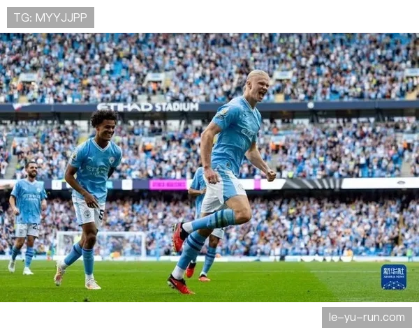 梅法姆闪耀英超赛场，稳固防守助球队奠定胜局