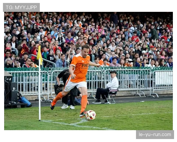 汉堡人民公园迎欧洲杯热潮，球迷齐聚共庆足球盛事